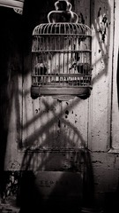 DSC04248-2.JPG