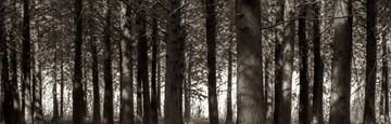 IMG_5124.JPG