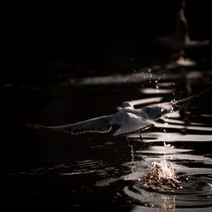 DSC_0025.jpg