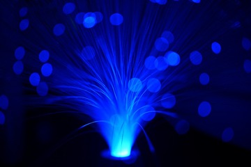 3A7E8699-9A13-40E7-BEB4-8B93D8D10946/L0/001