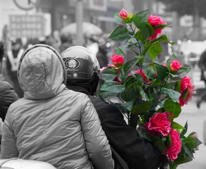 送花.jpg