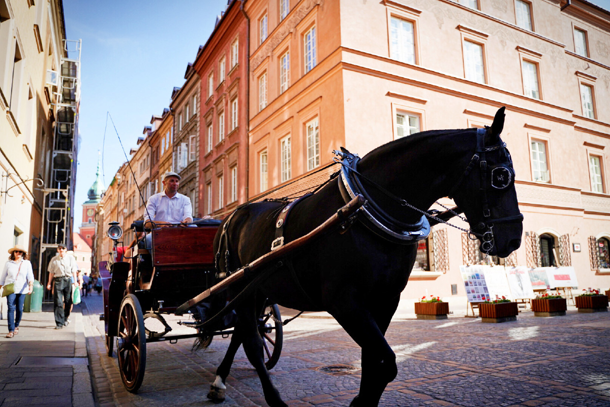 华沙街头的马车夫