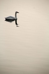 IMG_4296_副本.jpg