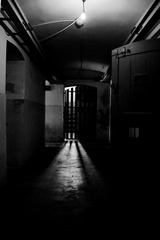 IMG_6308__