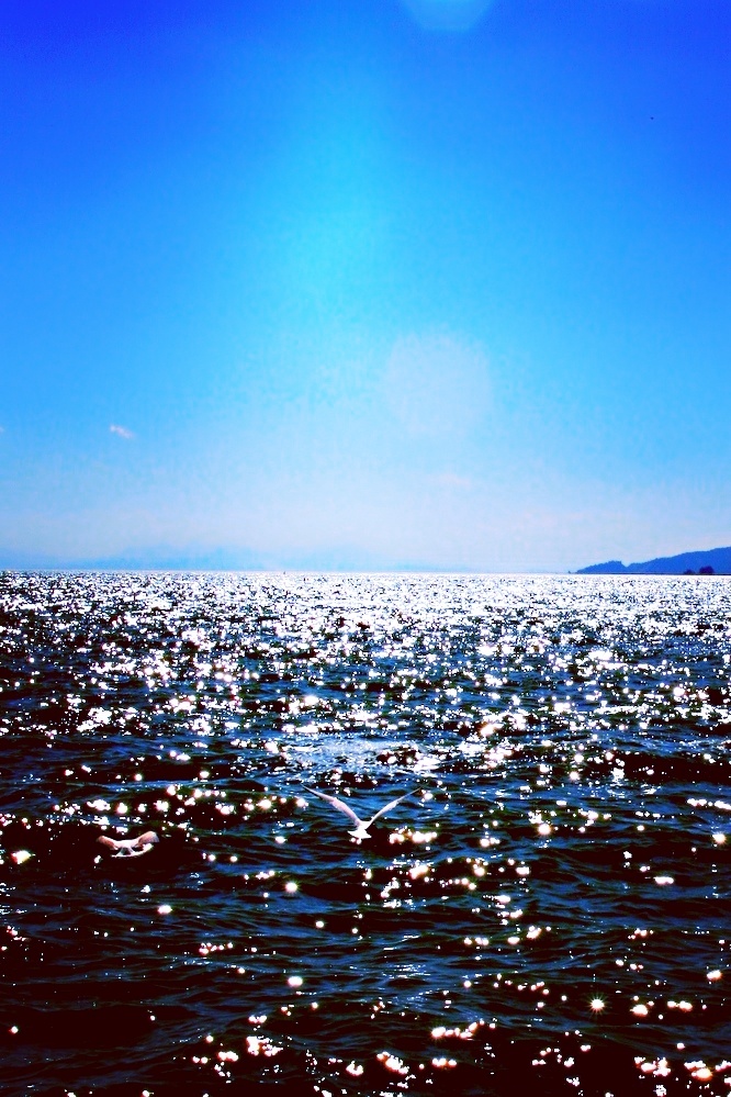 《闪》 都说大海深邃又宽阔,大海究竟包容了什么?