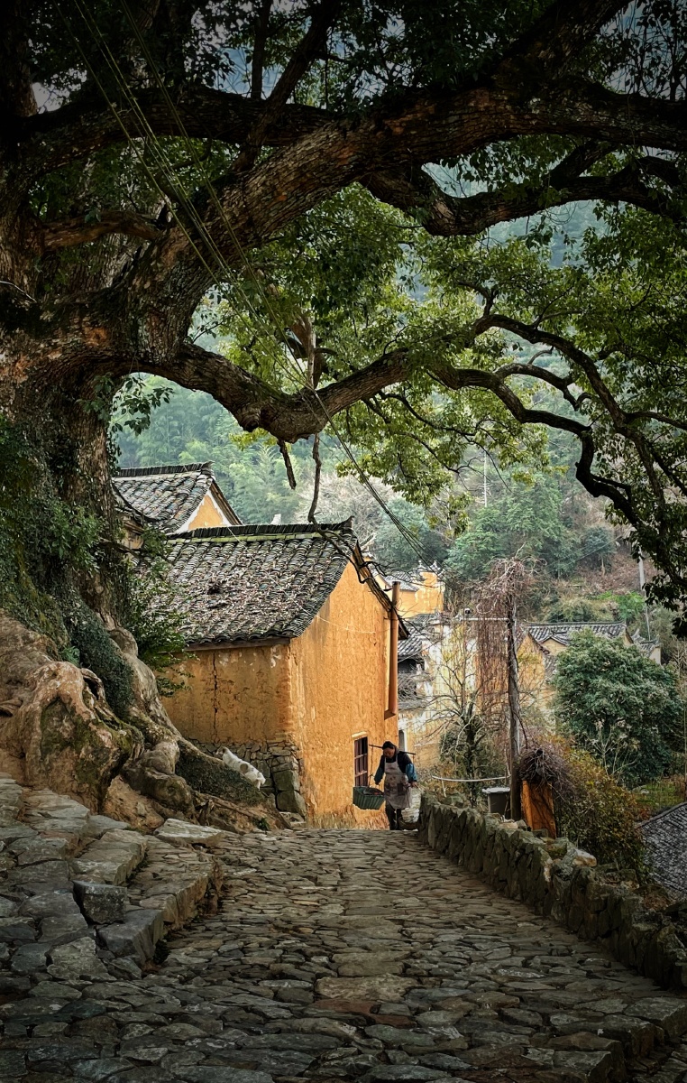 丽水松阳古村