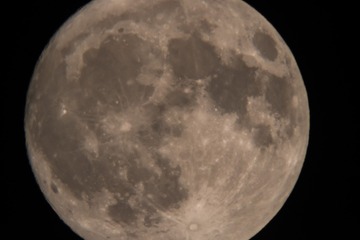 886622