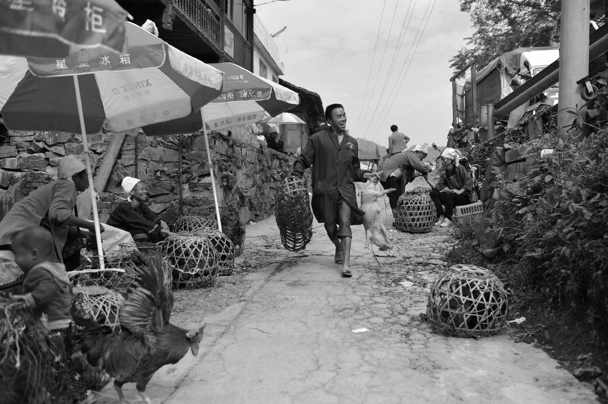 集市上卖猪崽的人