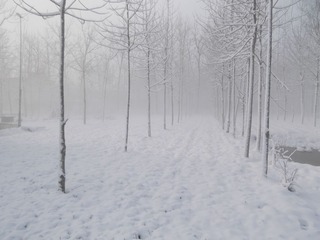 DSCF4368.JPG