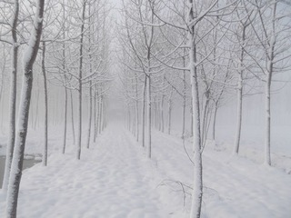 DSCF4370.JPG