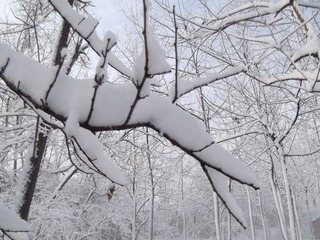 DSCF4374.JPG
