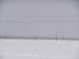 DSCF4445.JPG