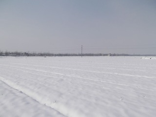 DSCF4450.JPG