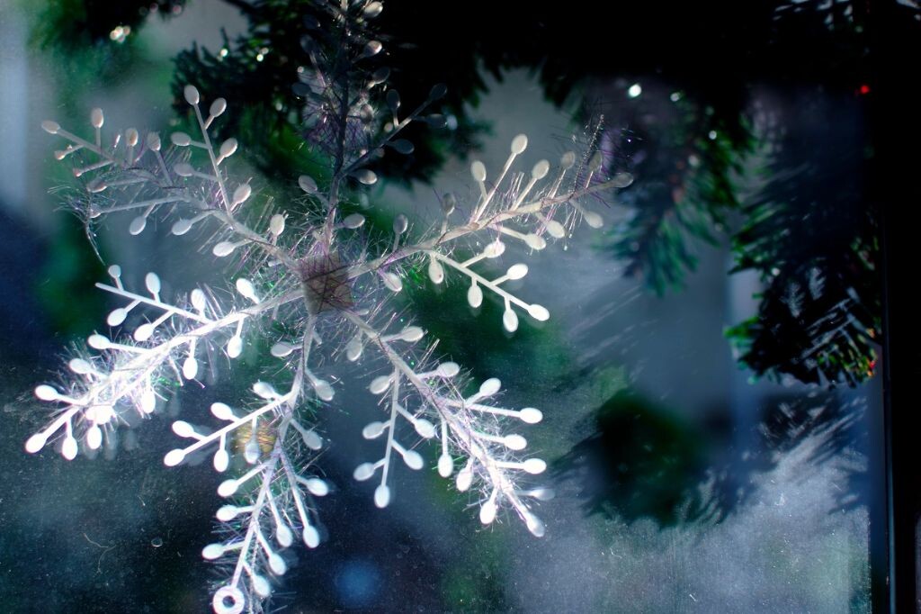 “今年还没下雪的样子。”“笨蛋，是你睡过头了。”