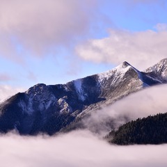 7068542