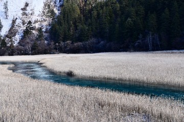 3726428