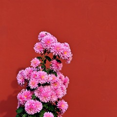774168
