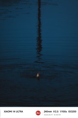 1000087395
