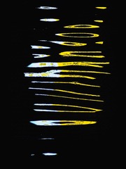 1000011040