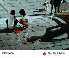 1000087396