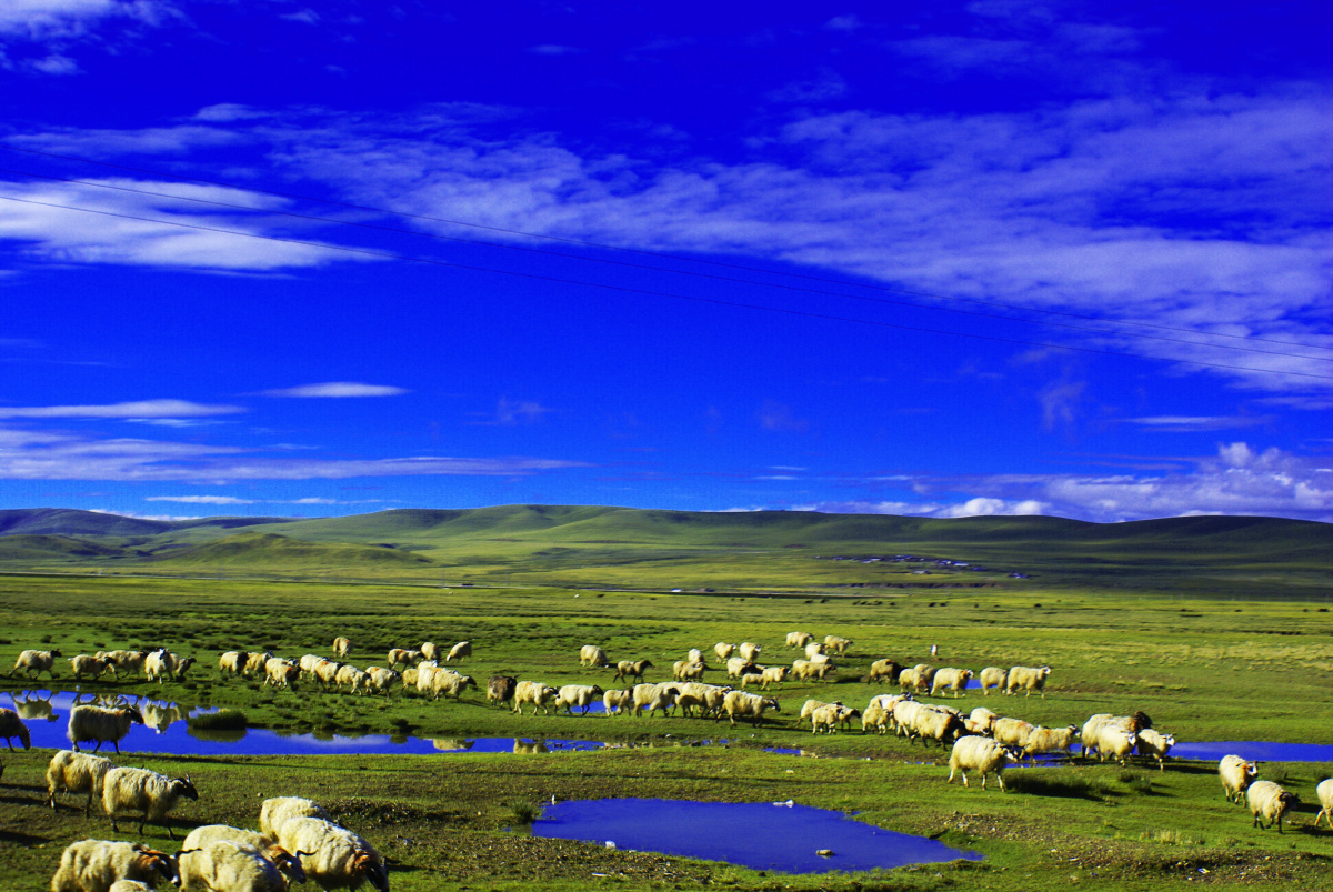 大美青藏线 - 大美青藏线 - zhaoweihao - 图虫摄影网