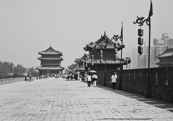 P5110170-2.jpg