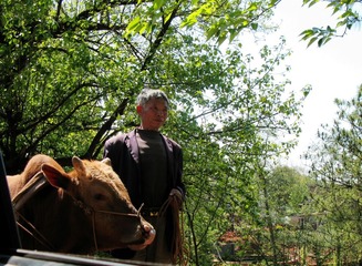 IMG_0524.JPG