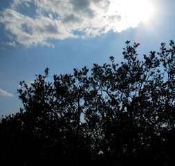 IMG_0613.JPG