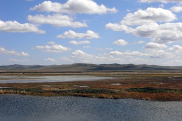 R0017991