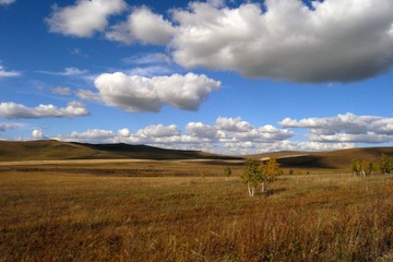 R0018036