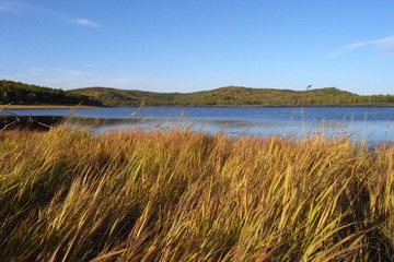 R0018146