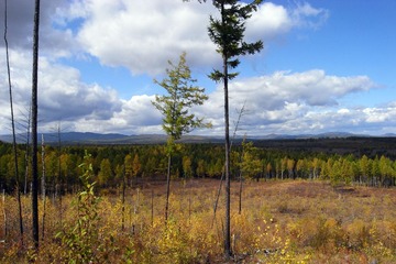 R0018191