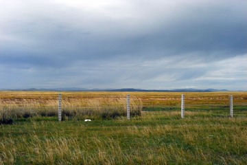 R0018349