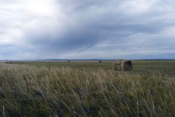 R0018389