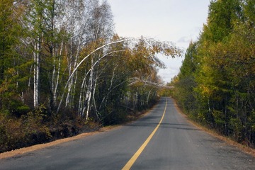 R0018450