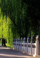 路桥
