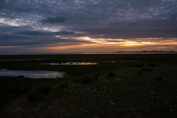 _DSC6311.jpg