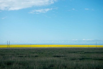 _DSC6476.jpg
