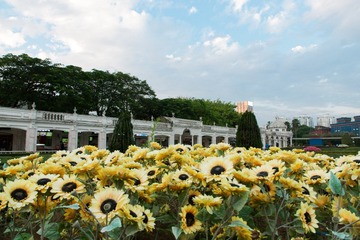 Wang_Ao_4322