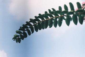 000041