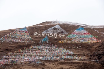 Wang_Ao_182