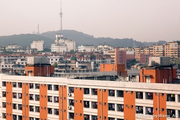 Wang_Ao_433