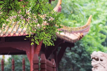 05 (12)