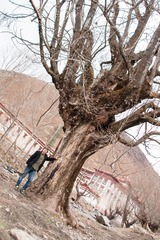 Wang_Ao_174