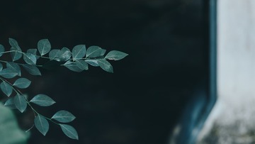 782183