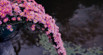 801827