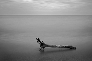 _LJ_6776
