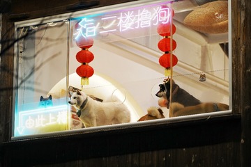 AD87300A-528D-41CE-A639-AF555D0F92B3/L0/001