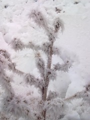 20111203408
