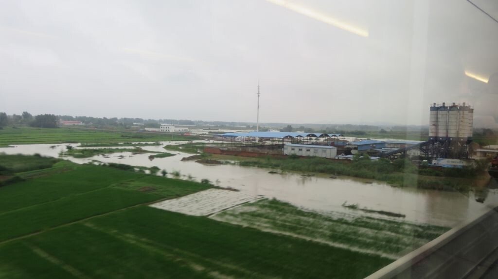 几日大雨后的景象